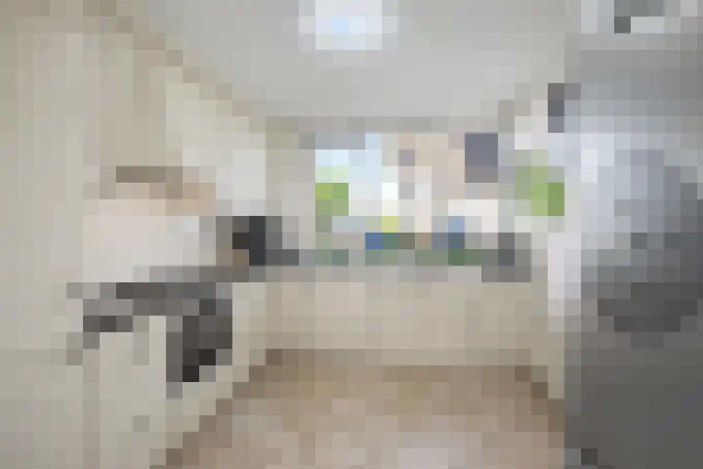 Lutulistate 39 Ede thumbnail 10