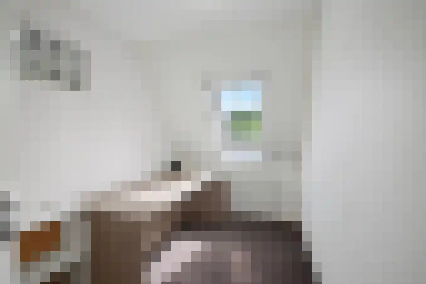 Lutulistate 39 Ede thumbnail 18