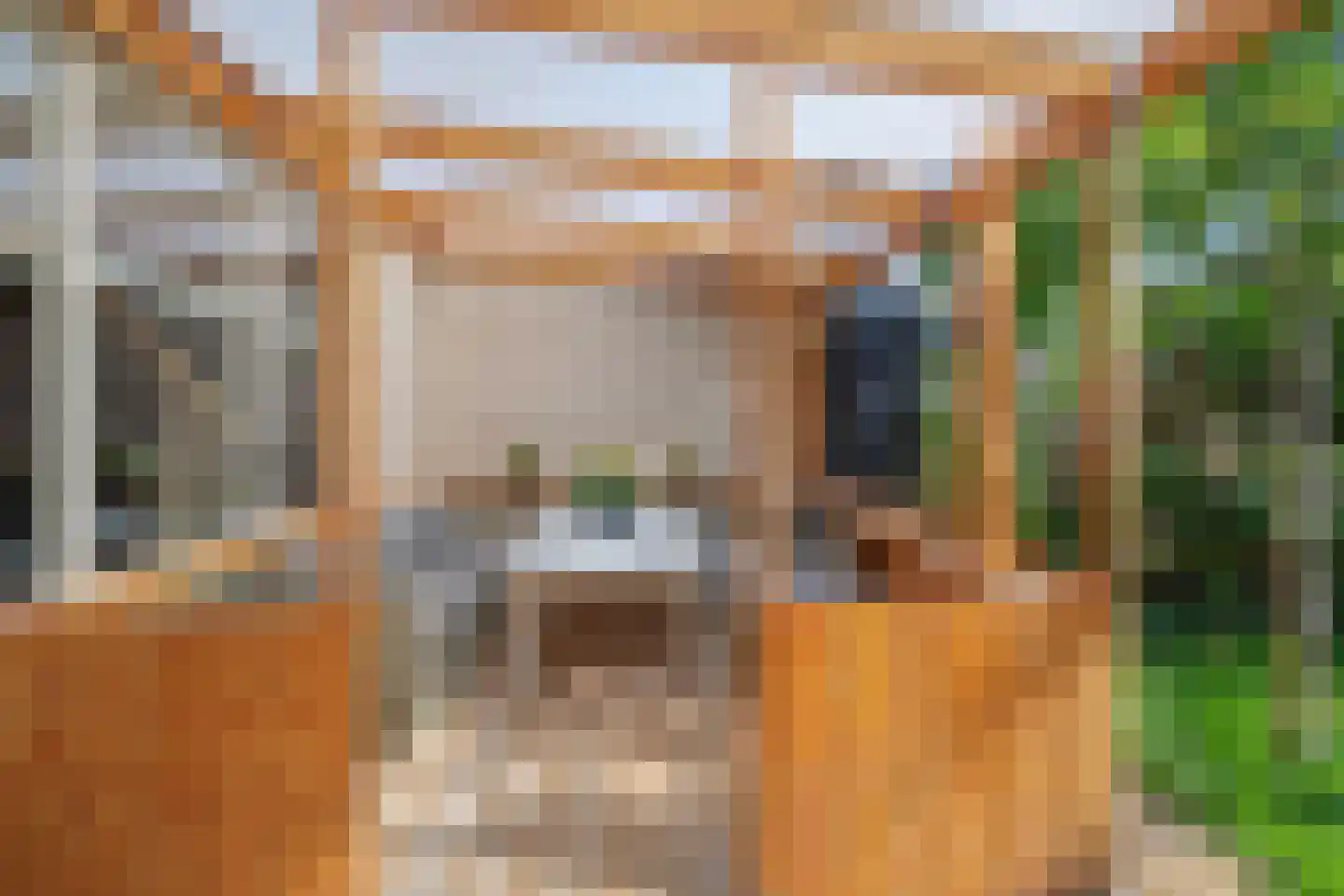 Lutulistate 39 Ede thumbnail 26