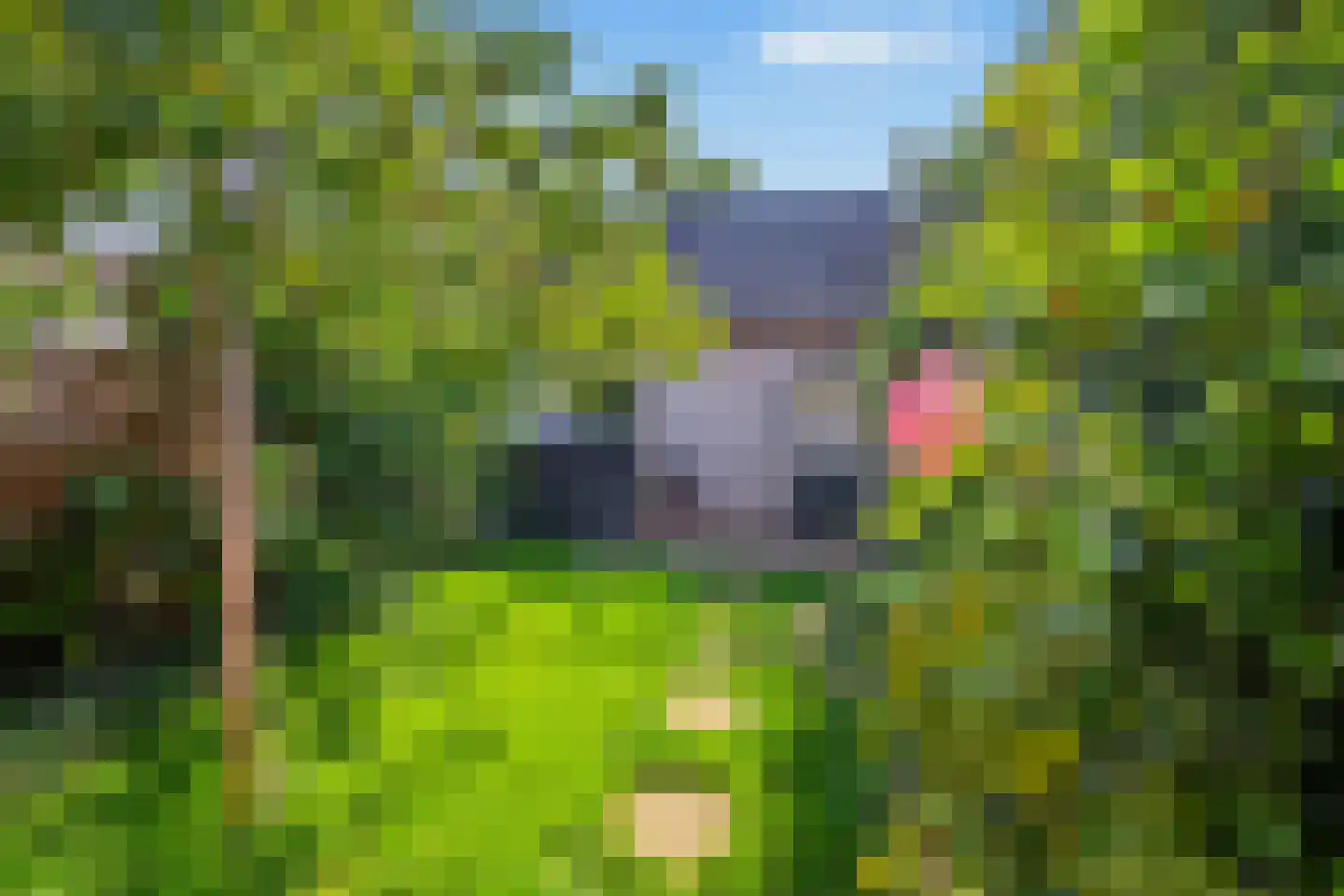 Lutulistate 39 Ede thumbnail 27