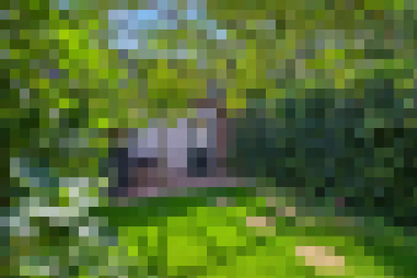 Lutulistate 39 Ede thumbnail 28