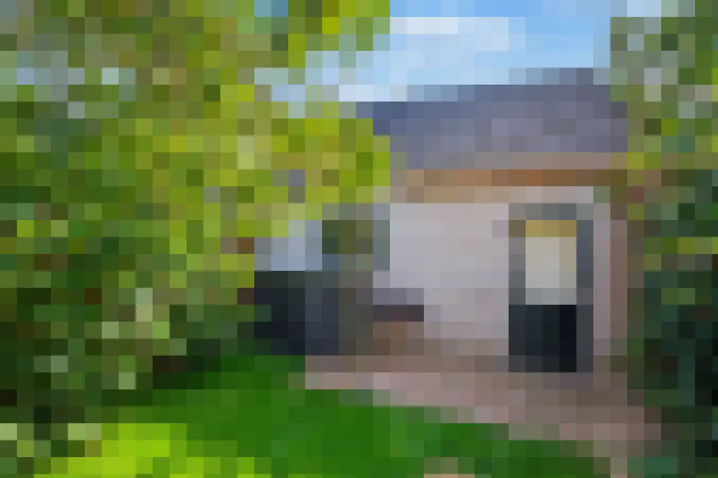 Lutulistate 39 Ede thumbnail 29
