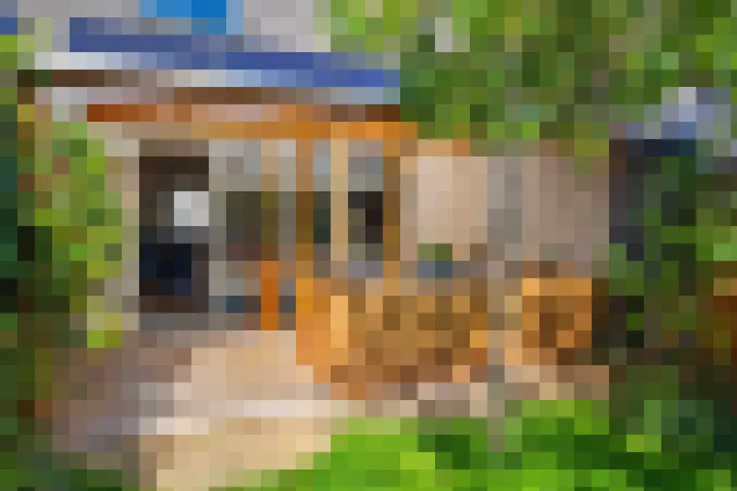 Lutulistate 39 Ede thumbnail 31