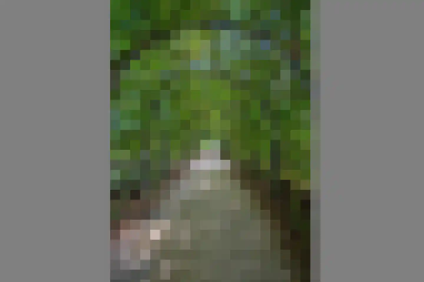 Lutulistate 39 Ede thumbnail 35