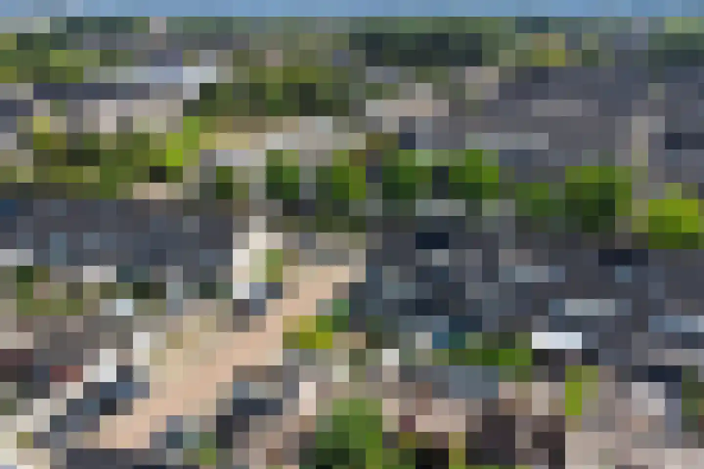 Lutulistate 39 Ede thumbnail 36