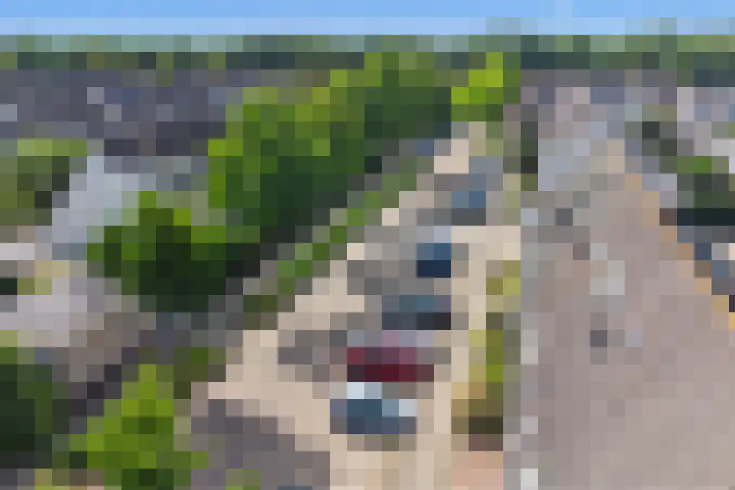 Lutulistate 39 Ede thumbnail 4