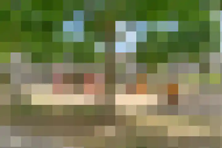 Lutulistate 46 Ede thumbnail 11