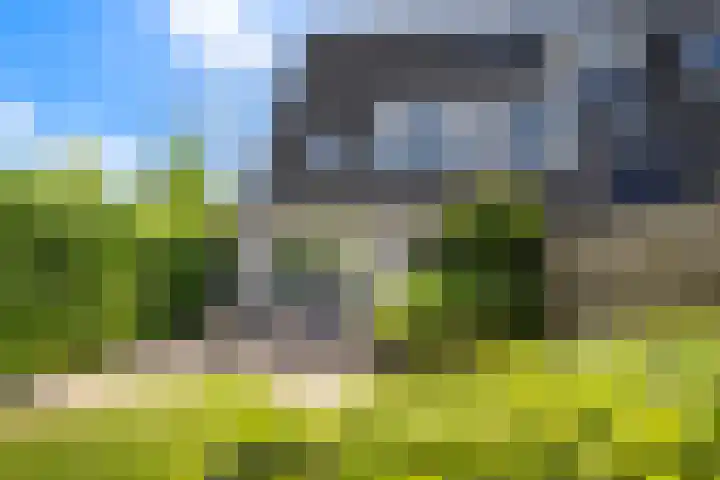 Lutulistate 46 Ede thumbnail 14