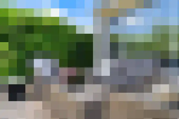 Lutulistate 46 Ede thumbnail 16