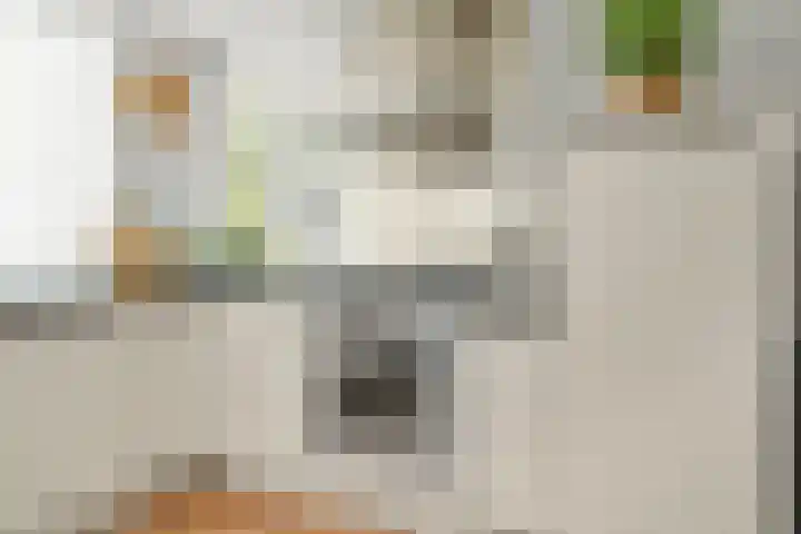 Lutulistate 46 Ede thumbnail 33