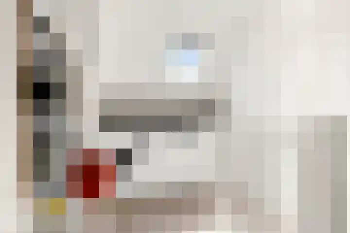 Lutulistate 46 Ede thumbnail 46