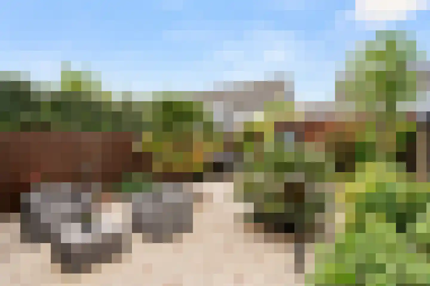 Lutulistate 57 Ede thumbnail 10