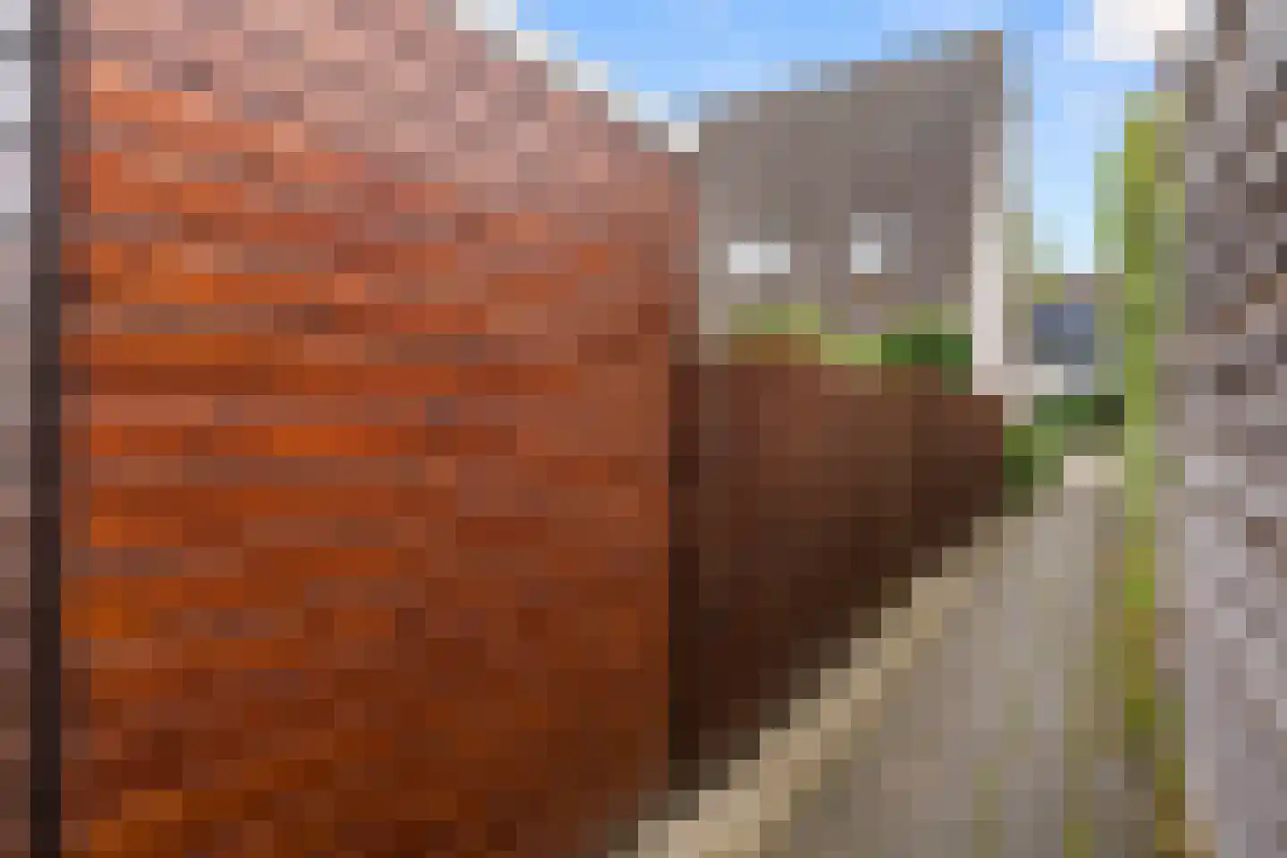 Lutulistate 57 Ede thumbnail 5