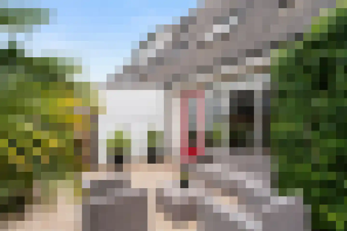 Lutulistate 57 Ede thumbnail 8