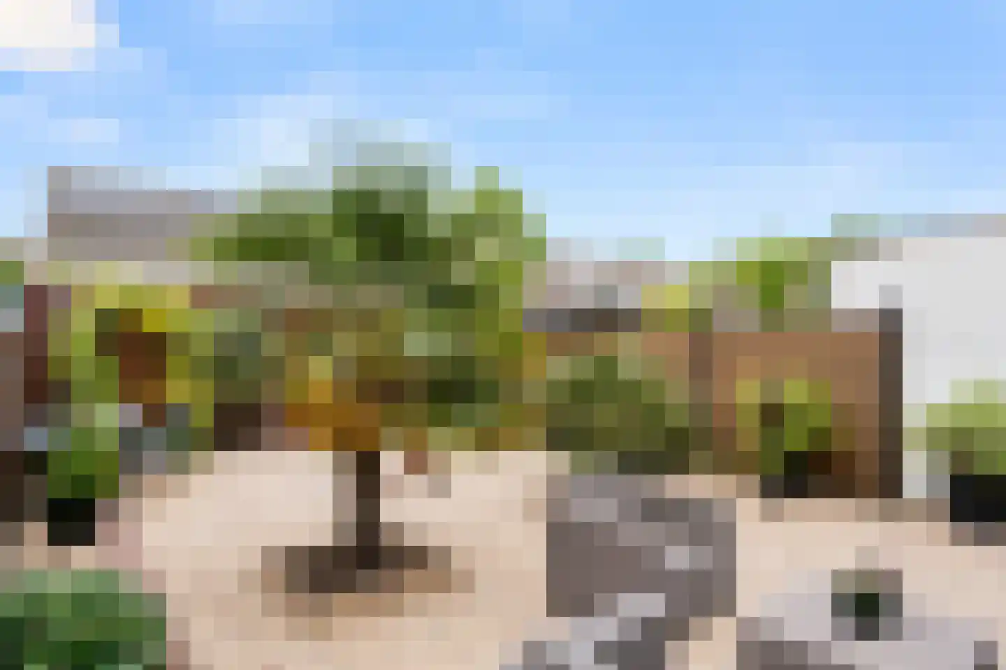 Lutulistate 57 Ede thumbnail 9