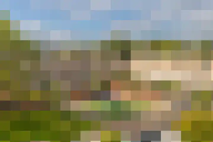 Lutulistraat 28 Haarlem thumbnail 26