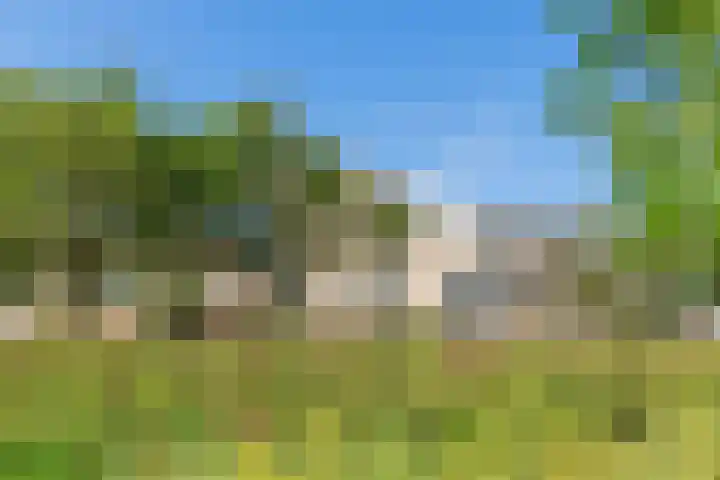 Lutulistraat 28 Haarlem thumbnail 31