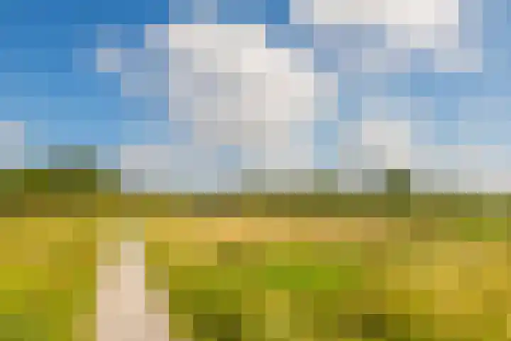 Lutulistraat 28 Haarlem thumbnail 32