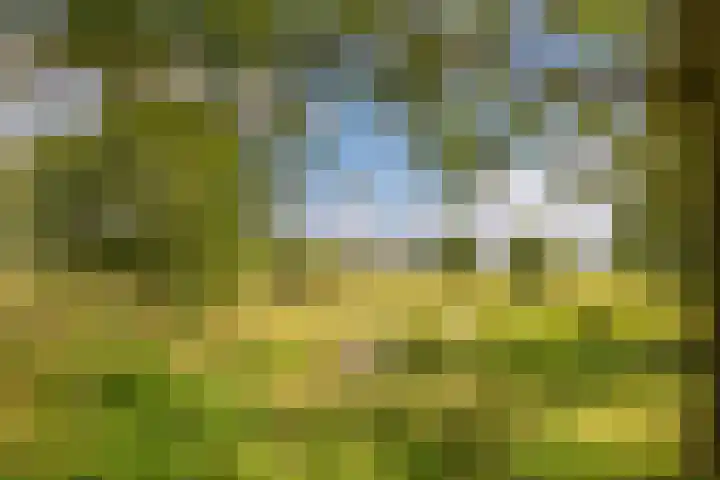 Lutulistraat 28 Haarlem thumbnail 33