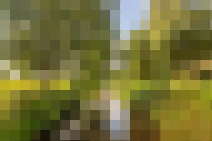 Lutulistraat 28 Haarlem thumbnail 35
