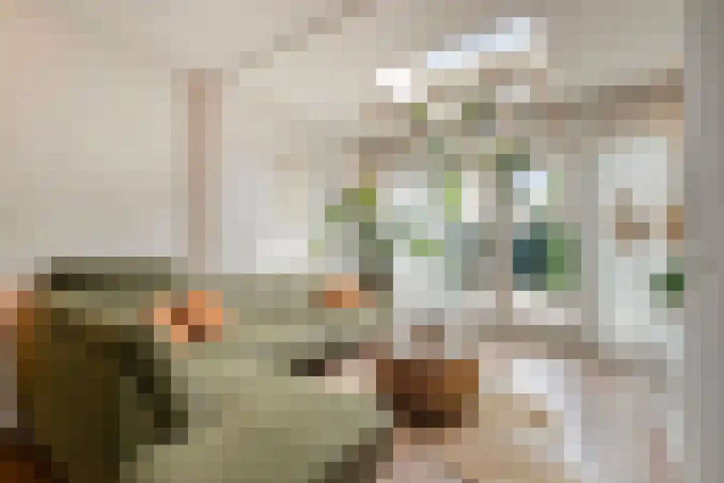 Lutuliweg 1 Epe thumbnail 11