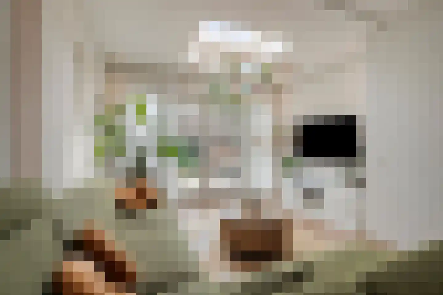 Lutuliweg 1 Epe thumbnail 12