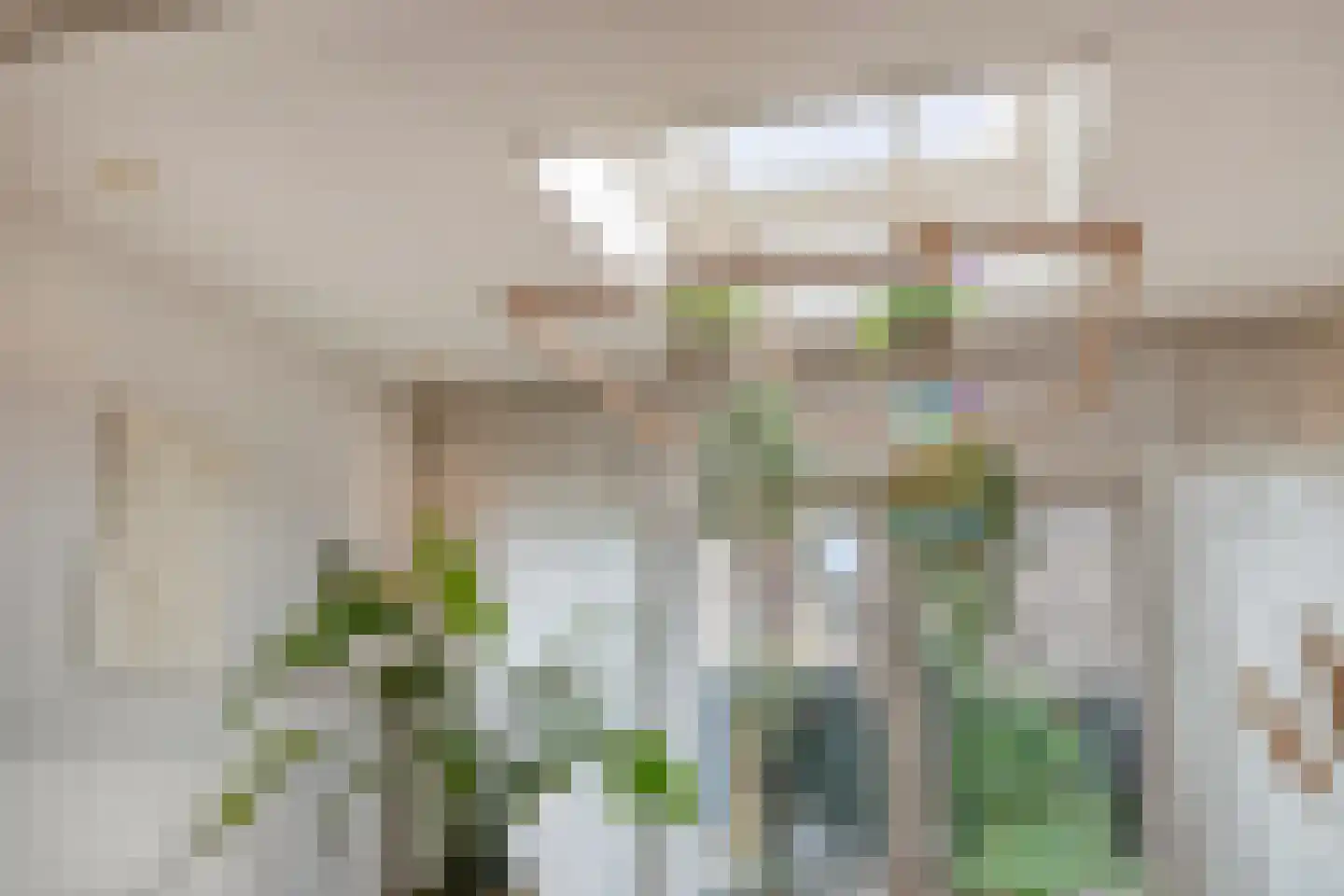 Lutuliweg 1 Epe thumbnail 13