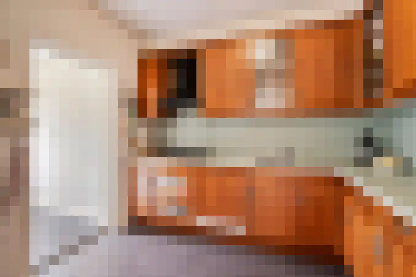 Lutuliweg 1 Epe thumbnail 14