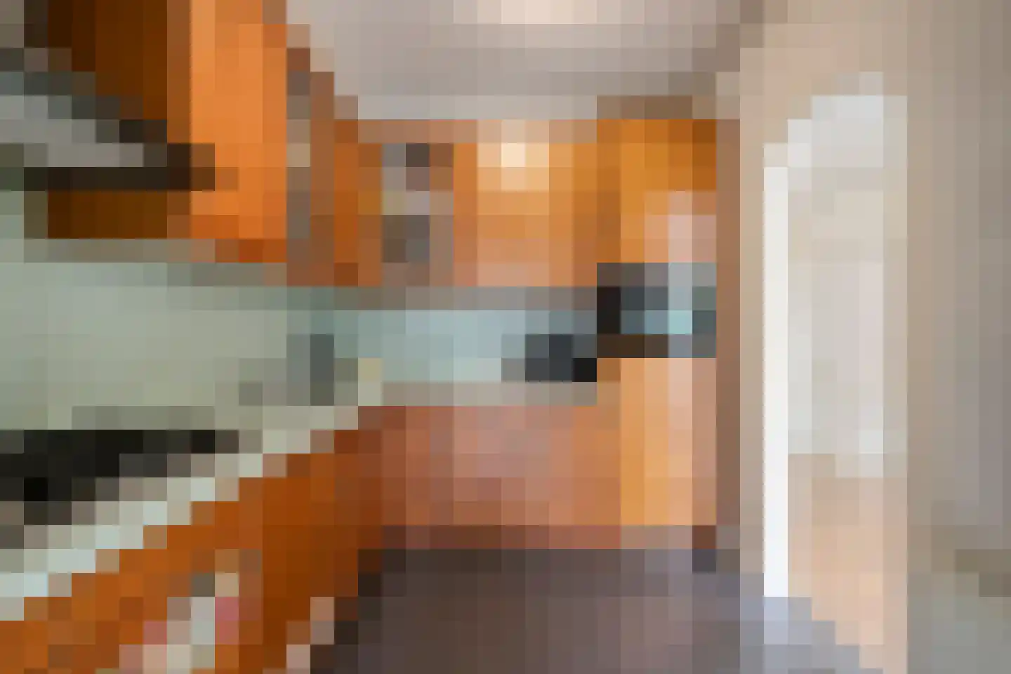 Lutuliweg 1 Epe thumbnail 15