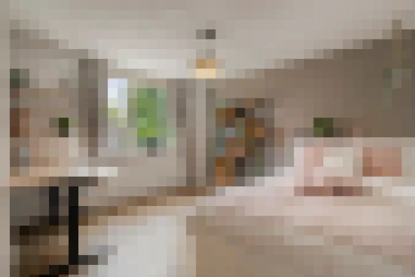 Lutuliweg 1 Epe thumbnail 19