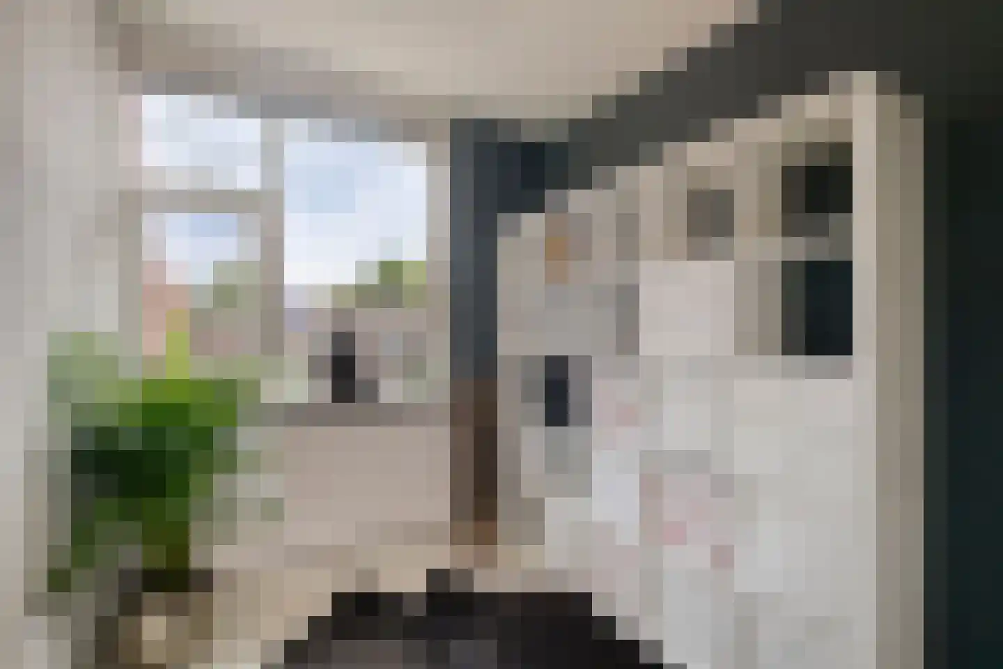 Lutuliweg 1 Epe thumbnail 22
