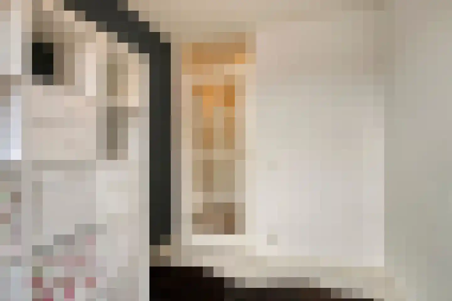 Lutuliweg 1 Epe thumbnail 23