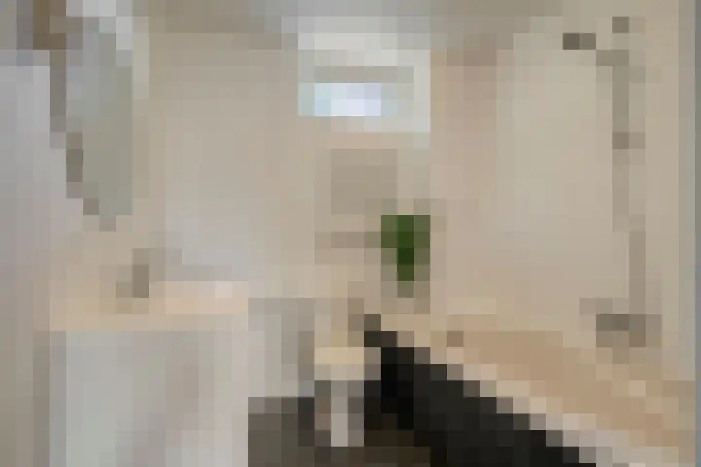 Lutuliweg 1 Epe thumbnail 24