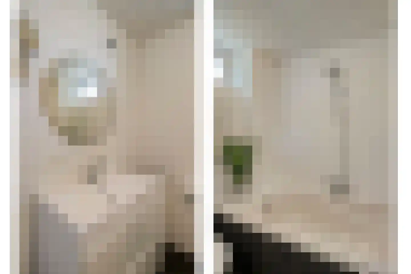 Lutuliweg 1 Epe thumbnail 25