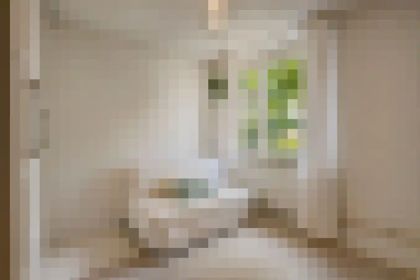 Lutuliweg 1 Epe thumbnail 26