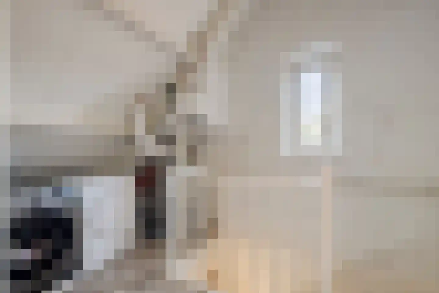 Lutuliweg 1 Epe thumbnail 28