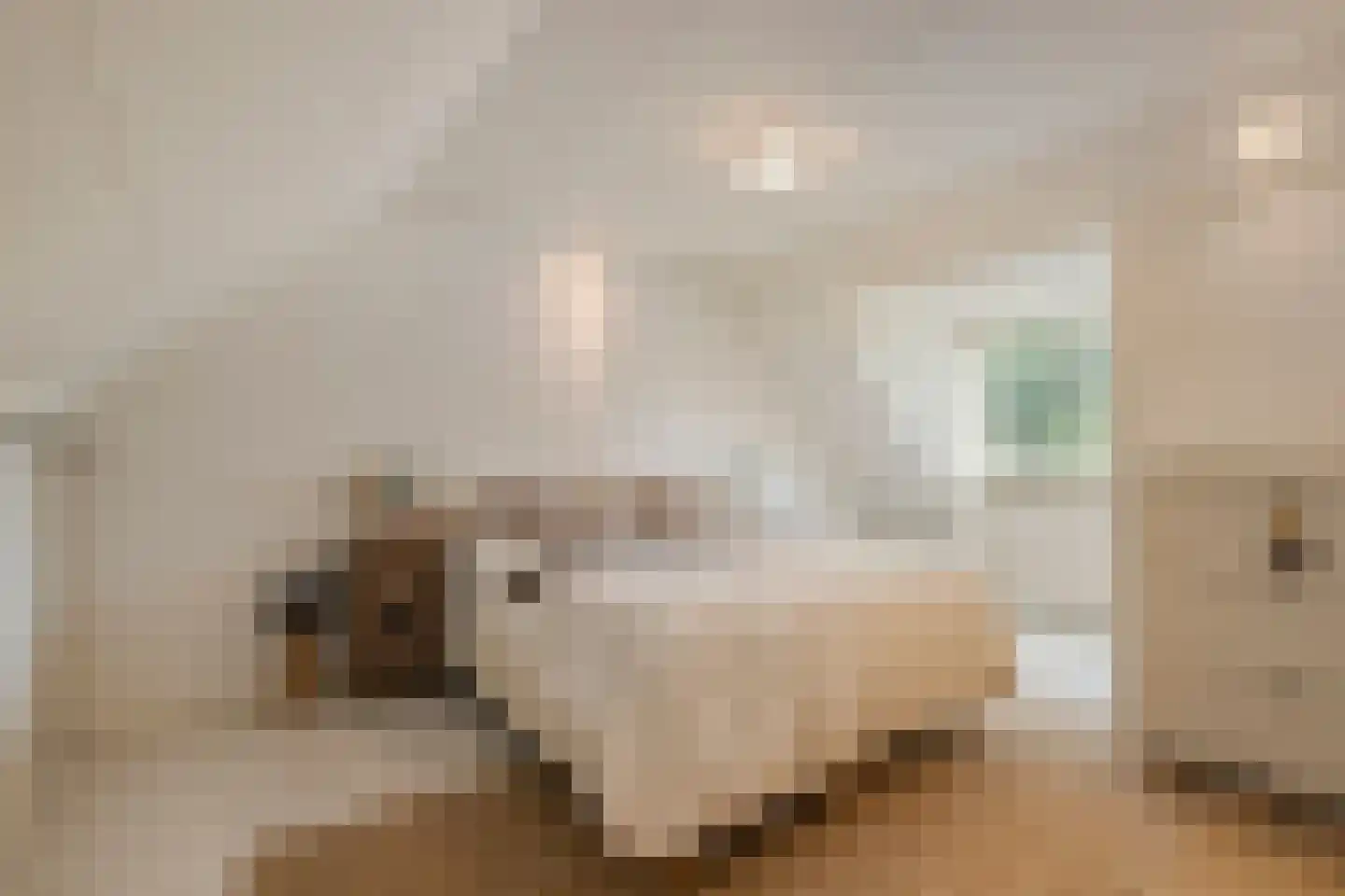 Lutuliweg 1 Epe thumbnail 30