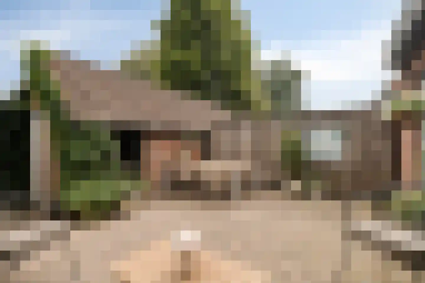 Lutuliweg 1 Epe thumbnail 34