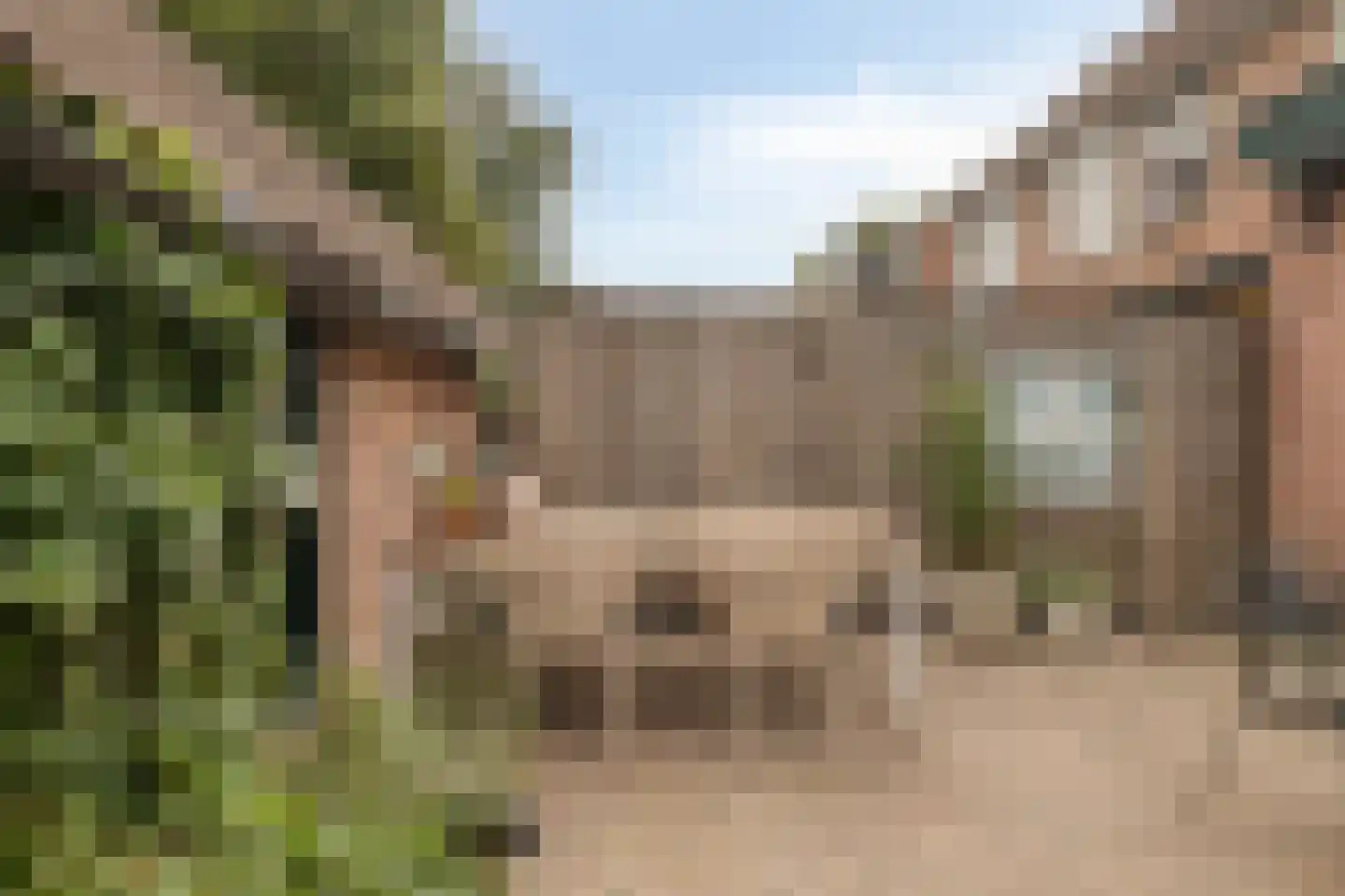 Lutuliweg 1 Epe thumbnail 35