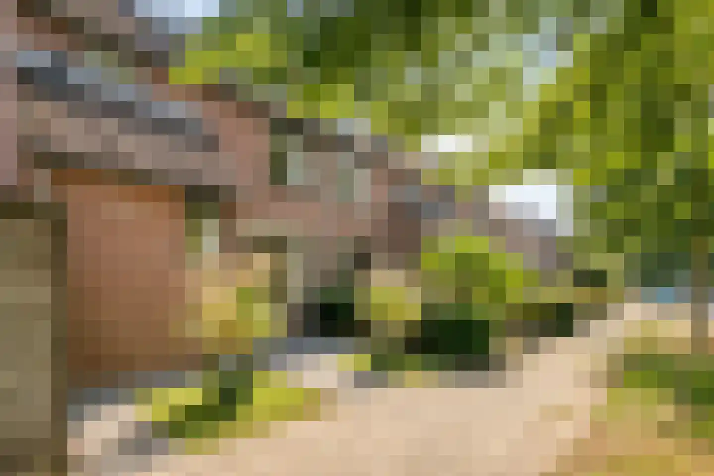 Lutuliweg 1 Epe thumbnail 4