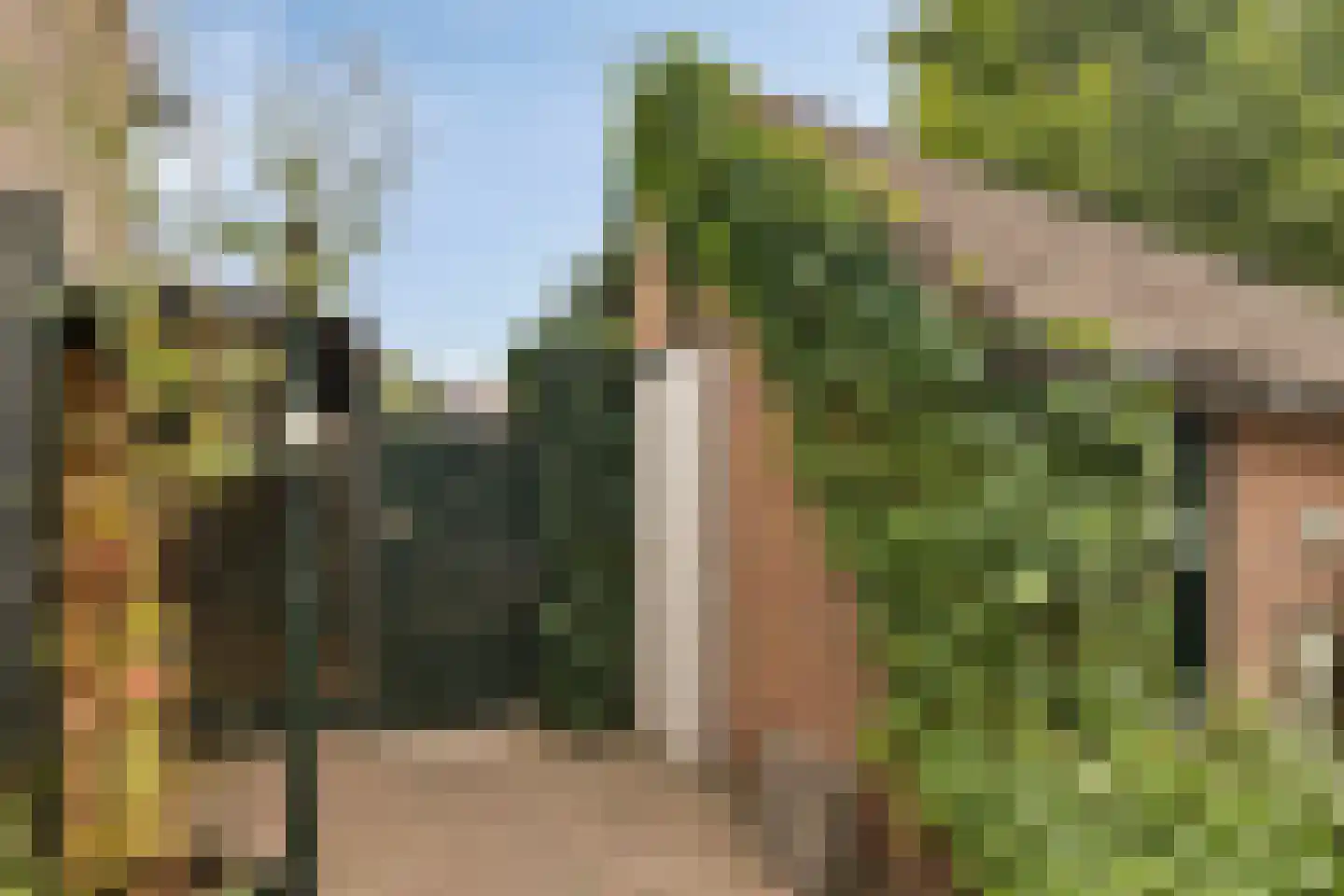 Lutuliweg 1 Epe thumbnail 42