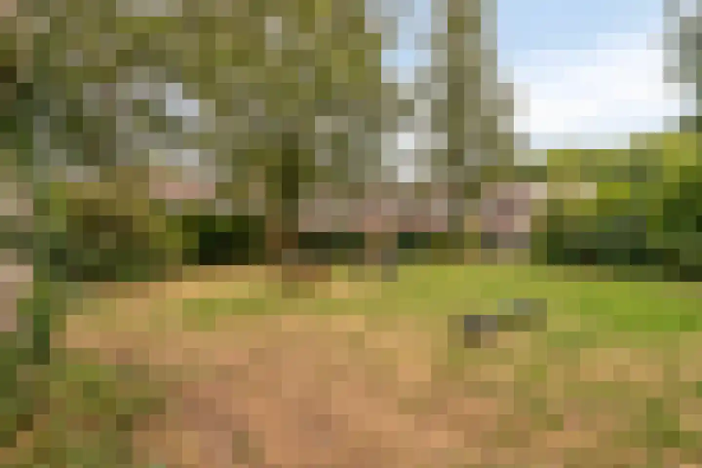 Lutuliweg 1 Epe thumbnail 44