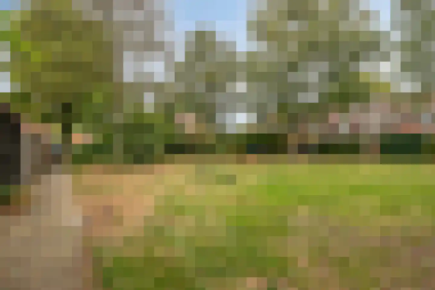 Lutuliweg 1 Epe thumbnail 45