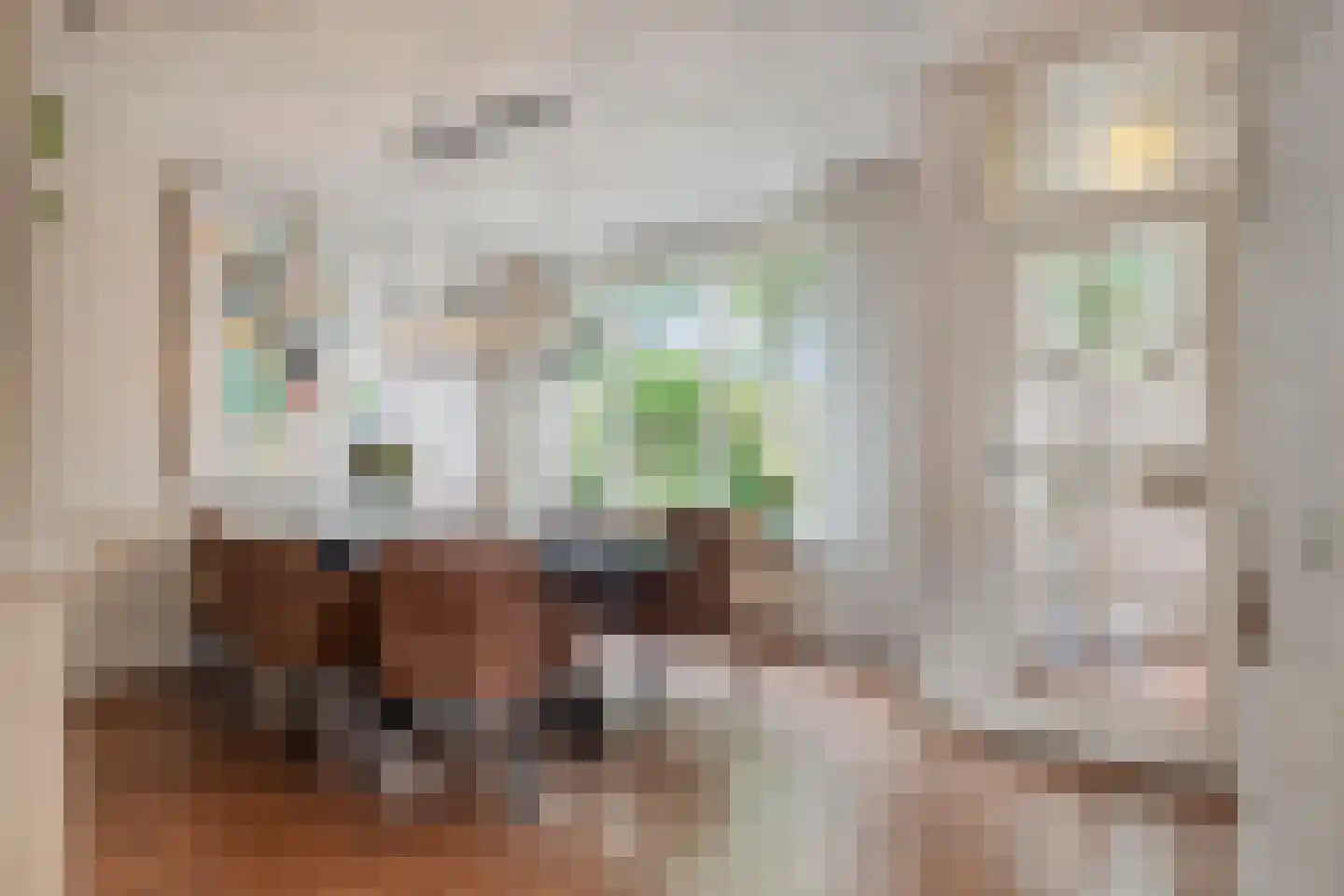 Lutuliweg 1 Epe thumbnail 7