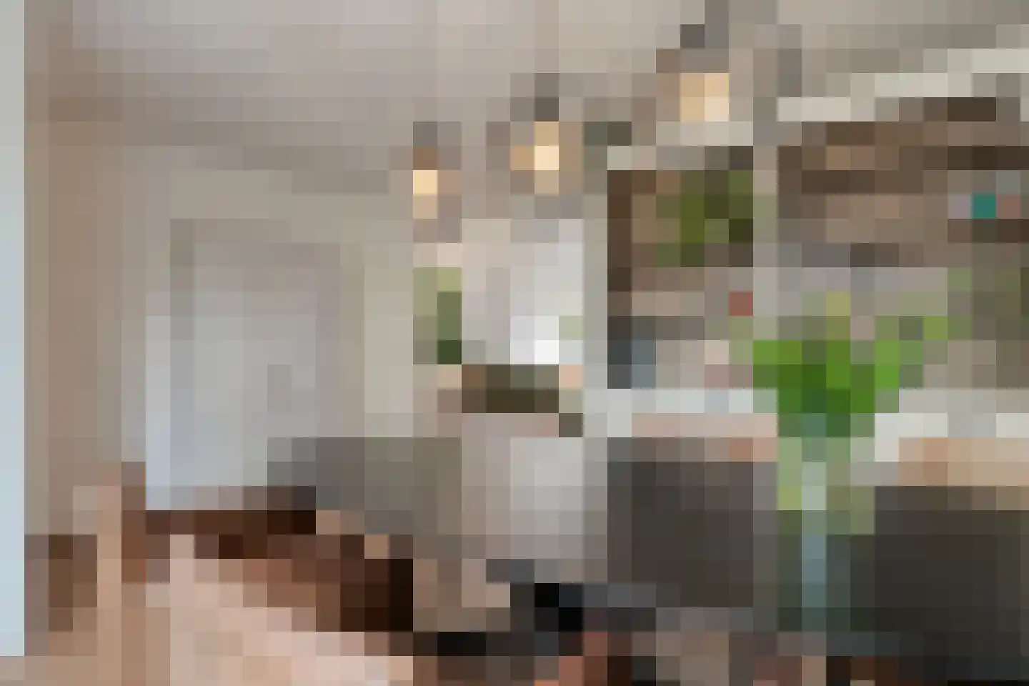 Lutuliweg 1 Epe thumbnail 9