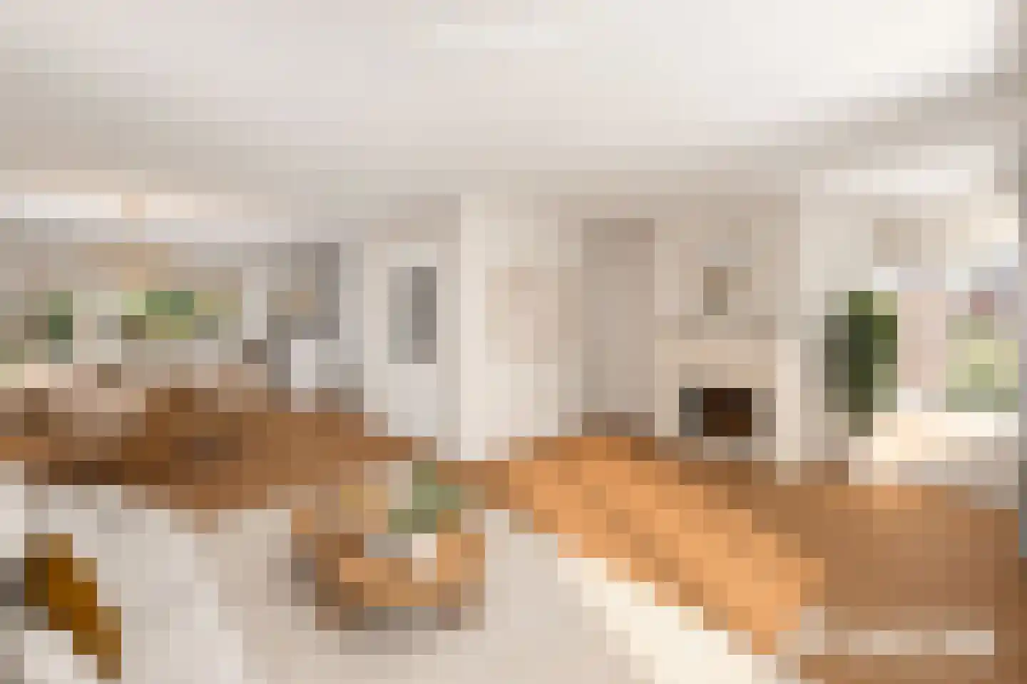 Luukmanserf 1 Dalfsen thumbnail 10