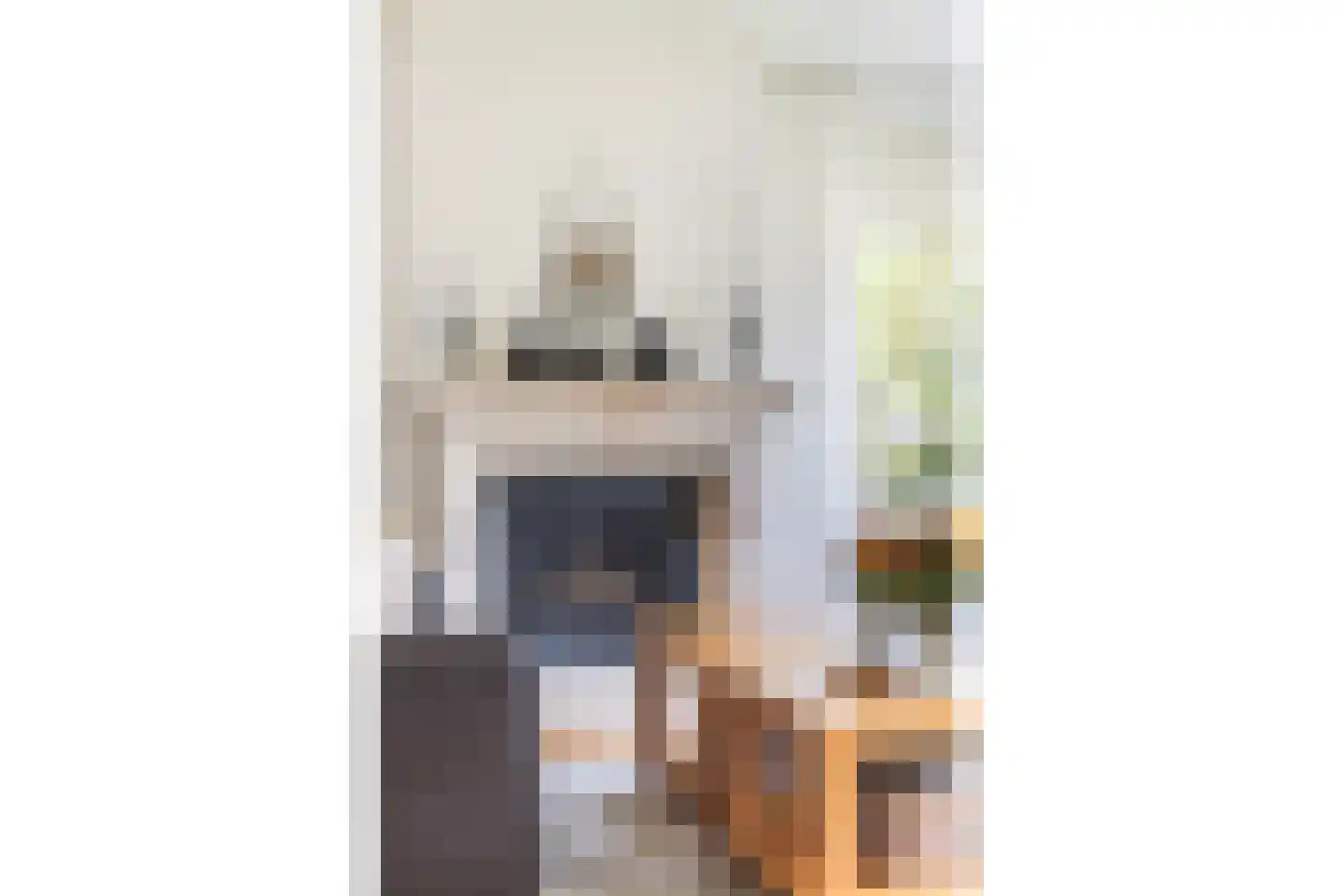 Luukmanserf 1 Dalfsen thumbnail 11