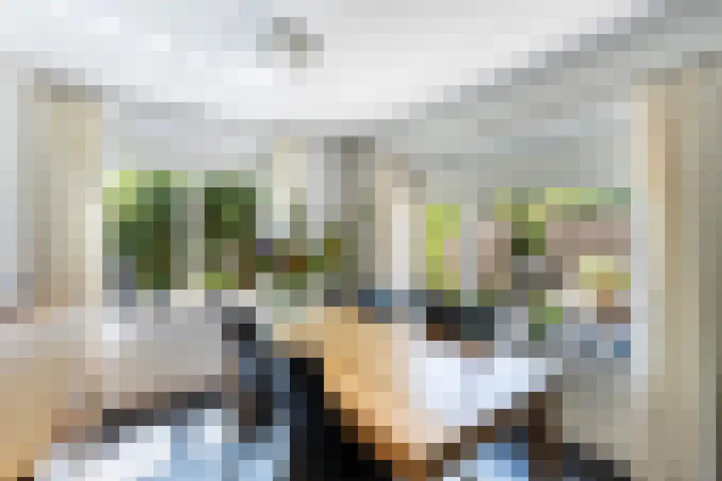 Luukmanserf 1 Dalfsen thumbnail 13