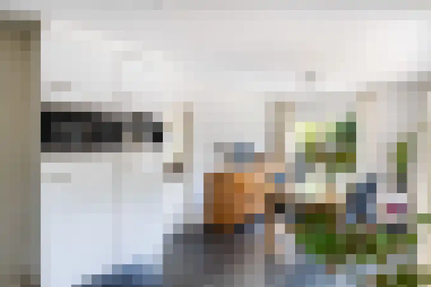 Luukmanserf 1 Dalfsen thumbnail 16