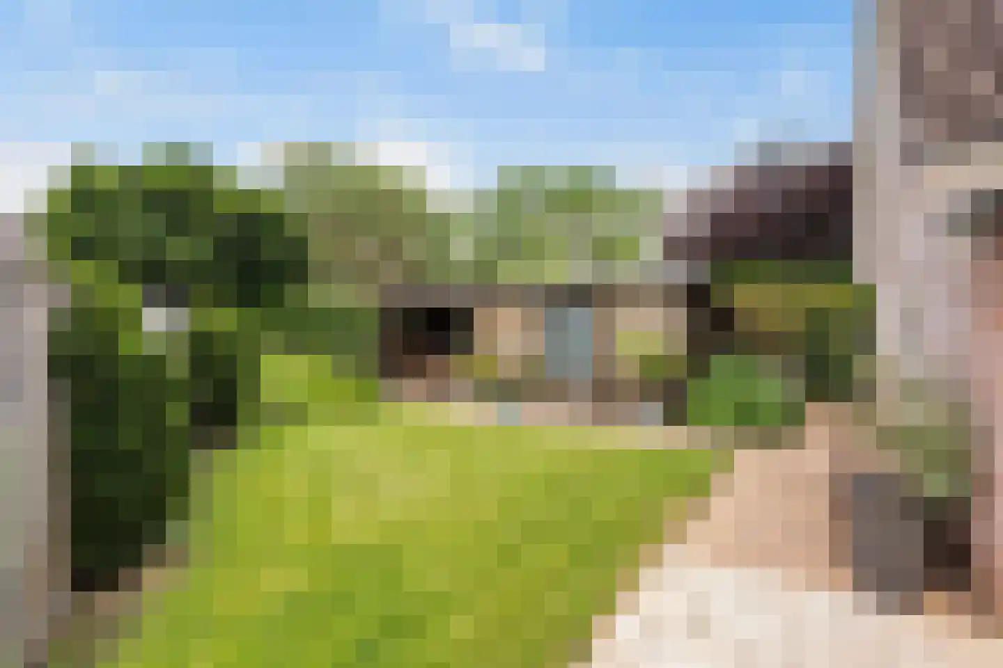 Luukmanserf 1 Dalfsen foto 2
